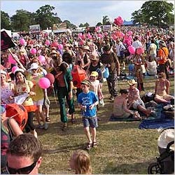 The Big Chill Festival