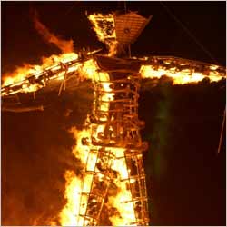 Burning Man Festival