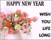 New Year Wishes