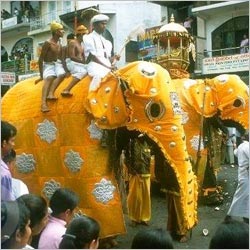 Esala Perahera