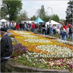 Lilac Festival