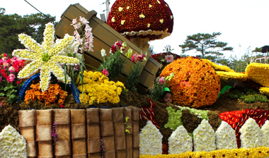 Flower Festival