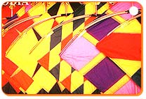 International Kite Festival International Kite Festival